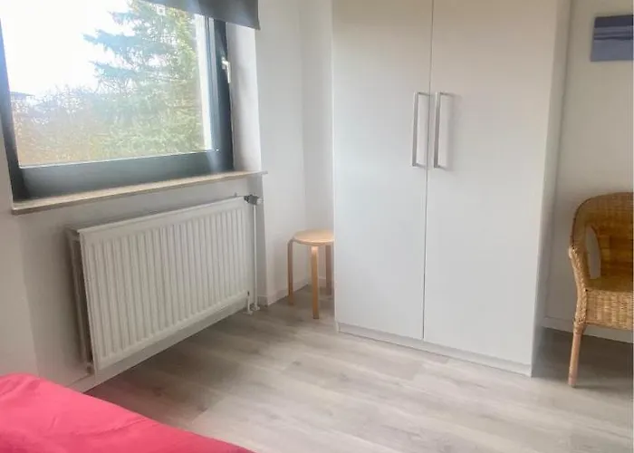 1032 Lachmoewe Dahme (Schleswig-Holstein)