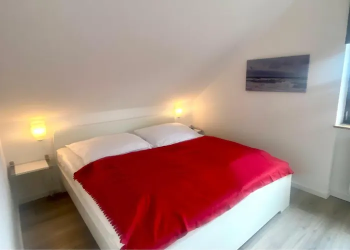 1032 Lachmoewe * Dahme (Schleswig-Holstein)